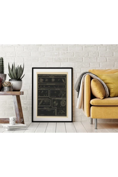 Pegziz Astronomi Ve Uzay Bilimleri Sanatsal Duvar Dekorasyon Poster 60x90cm. ürün görseli 1