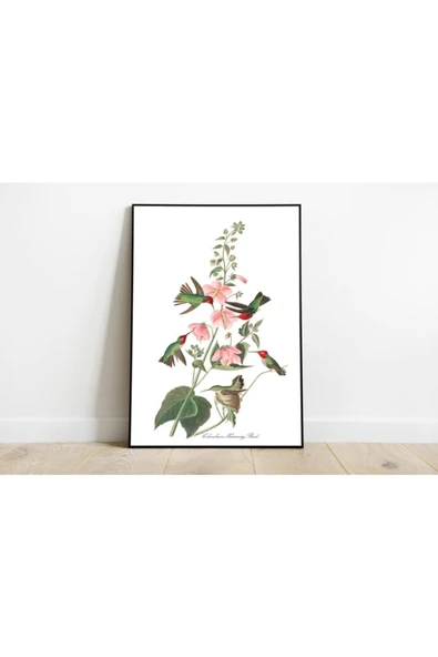 Pegziz Kuş Türleri Sanatsal Duvar Dekorasyon Poster 60x90cm. ürün görseli 1