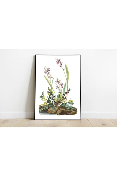 Pegziz Kuş Türleri Sanatsal Duvar Dekorasyon Poster 60x90cm. ürün görseli 1