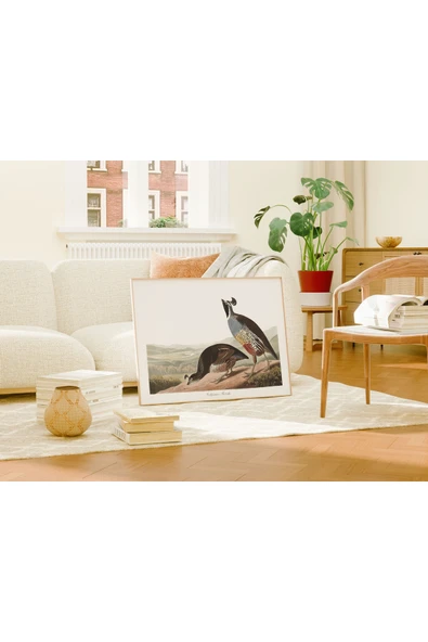 Pegziz Keklik Kuşu Sanatsal Duvar Dekorasyon Poster 60x90cm. ürün görseli 1
