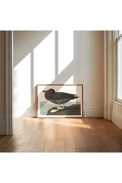 Pegziz Albatros Kuşu Sanatsal Duvar Dekorasyon Poster 60x90cm. ürün görseli 1