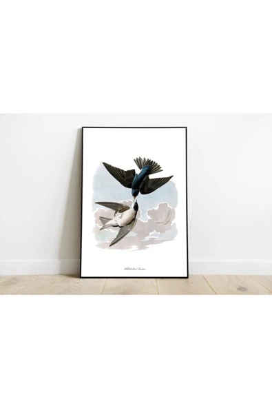 Pegziz Kuş Türleri Sanatsal Duvar Dekorasyon Poster 60x90cm. ürün görseli 1