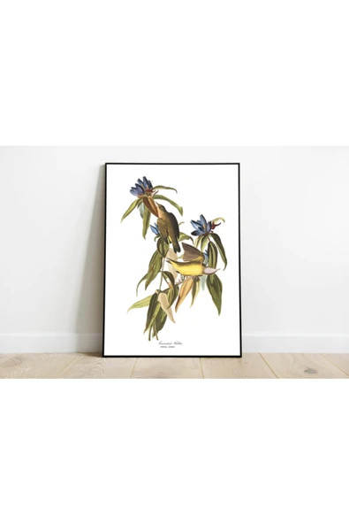 Pegziz Kuş Türleri Sanatsal Duvar Dekorasyon Poster 60x90cm. ürün görseli 1