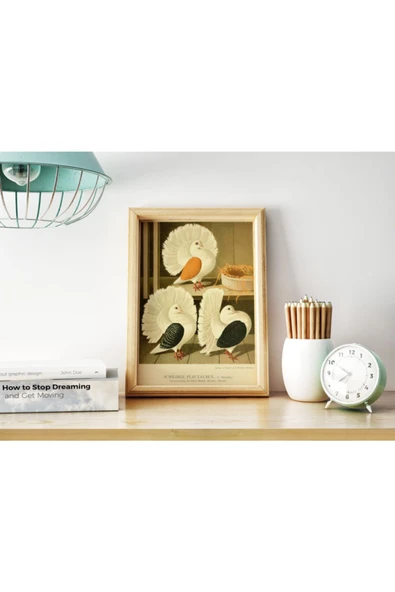 Pegziz Kuş Türleri Güvercin Sanatsal Duvar Dekorasyon Poster 50x70cm. ürün görseli 1