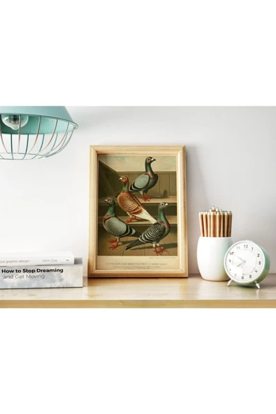 Pegziz Kuş Türleri Güvercin Sanatsal Duvar Dekorasyon Poster 50x70cm. ürün görseli 1