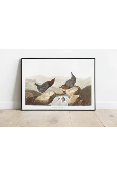 Pegziz Kuş Türleri Sanatsal Duvar Dekorasyon Poster 60x90cm. ürün görseli 1