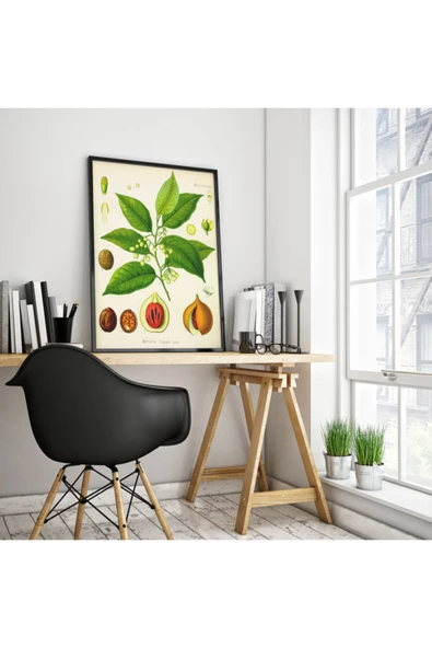 Pegziz Muskat Bitkisi Vintage Sanatsal Poster 50x70cm. ürün görseli 1