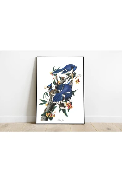 Pegziz Kuş Türleri Sanatsal Duvar Dekorasyon Poster 60x90cm. ürün görseli 1