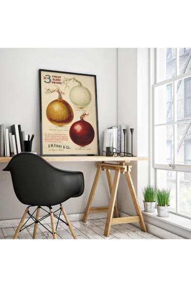 Pegziz Soğan Bitkisi Vintage Sanatsal Poster 50x70cm. ürün görseli 1