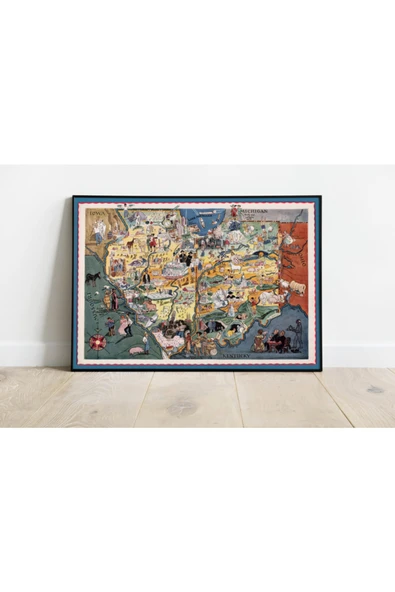 Pegziz Illinois Ve Indiana Eyaletleri Haritası Sanatsal Duvar Dekorasyon Poster 60x90cm. ürün görseli 1