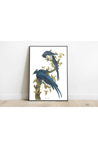 Pegziz Kuş Türleri Sanatsal Duvar Dekorasyon Poster 60x90cm. ürün görseli 1