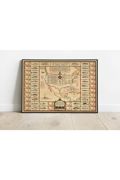 Pegziz Kuzey Amerika Balık Türleri Haritası Sanatsal Duvar Dekorasyon Poster 60x90cm. ürün görseli 1