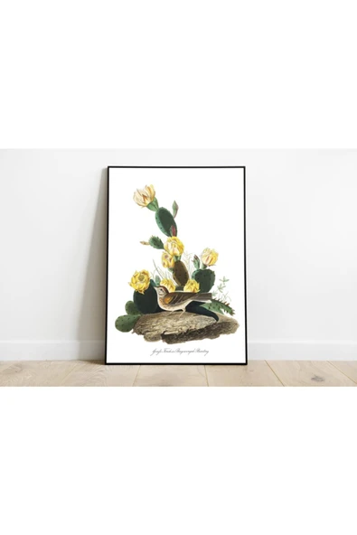 Pegziz Kuş Türleri Sanatsal Duvar Dekorasyon Poster 60x90cm. ürün görseli 1