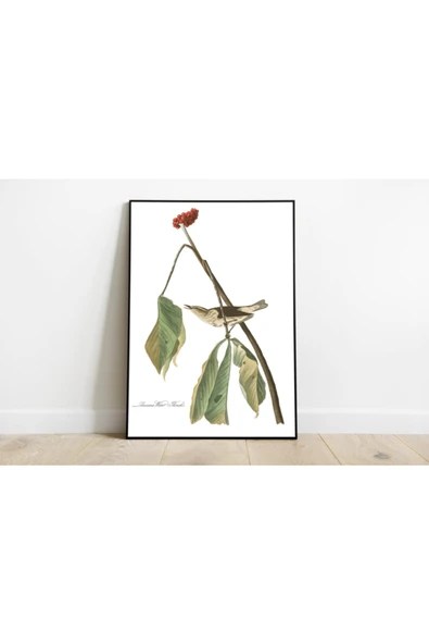 Pegziz Kuş Türleri Sanatsal Duvar Dekorasyon Poster 60x90cm. ürün görseli 1
