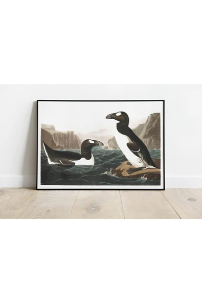 Pegziz Kuş Türleri Sanatsal Duvar Dekorasyon Poster 60x90cm. ürün görseli 1