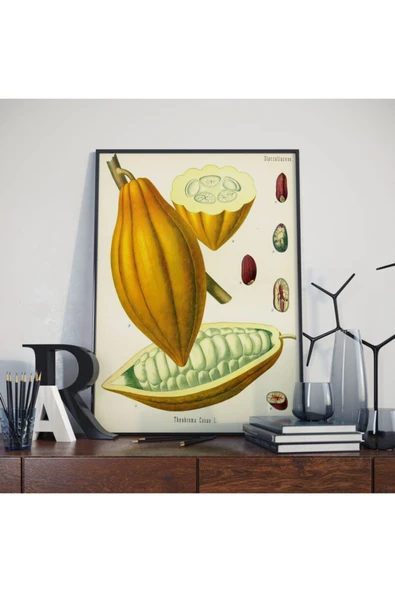 Pegziz Kakao Bitkisi Vintage Sanatsal Poster 50x70cm. ürün görseli 1