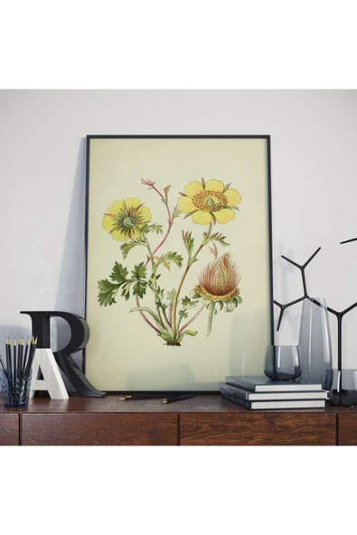 Pegziz Çiçek Vintage Sanatsal Poster 50x70cm. ürün görseli 1
