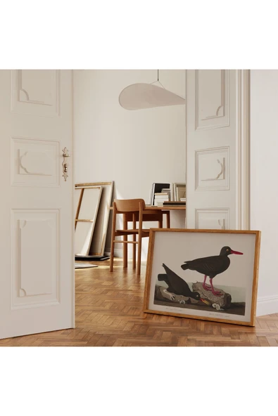 Pegziz Kuş Türleri Sanatsal Duvar Dekorasyon Poster 60x90cm. ürün görseli 1