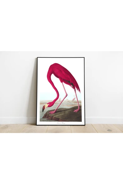 Pegziz Flamingo Sanatsal Duvar Dekorasyon Poster 60x90cm. ürün görseli 1