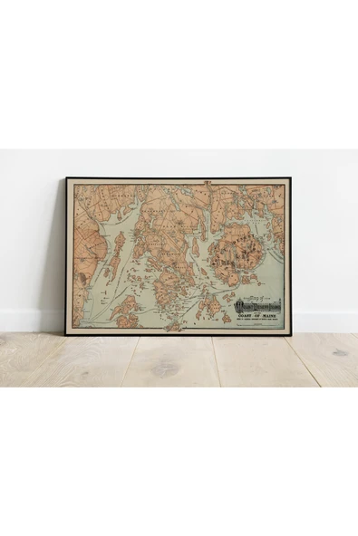 Pegziz Amerika Maine Haritası Sanatsal Duvar Dekorasyon Poster 60x90cm. ürün görseli 1