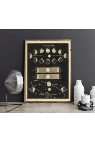 Pegziz Astronomi Ve Uzay Bilimleri Sanatsal Duvar Dekorasyon Poster 60x90cm. ürün görseli 1