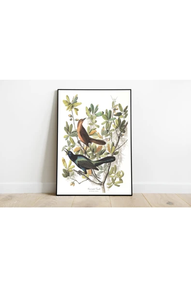 Pegziz Kuş Türleri Sanatsal Duvar Dekorasyon Poster 60x90cm. ürün görseli 1
