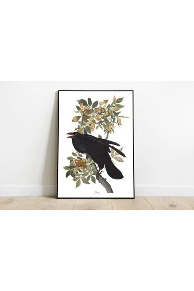 Pegziz Kuş Türleri Sanatsal Duvar Dekorasyon Poster 60x90cm. ürün görseli 1