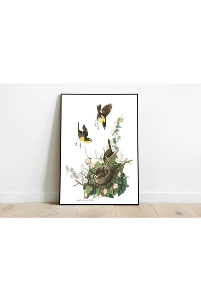 Pegziz Kuş Türleri Sanatsal Duvar Dekorasyon Poster 60x90cm. ürün görseli 1