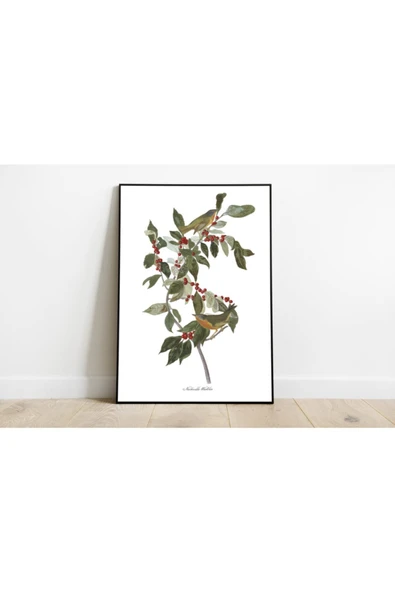 Pegziz Kuş Türleri Sanatsal Duvar Dekorasyon Poster 60x90cm. ürün görseli 1