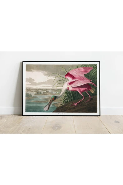 Pegziz Kuş Türleri Sanatsal Duvar Dekorasyon Poster 60x90cm. ürün görseli 1