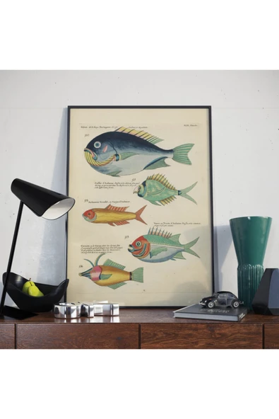 Pegziz Balıklar Sanatsal Duvar Dekorasyon Poster 60x90cm. ürün görseli 1