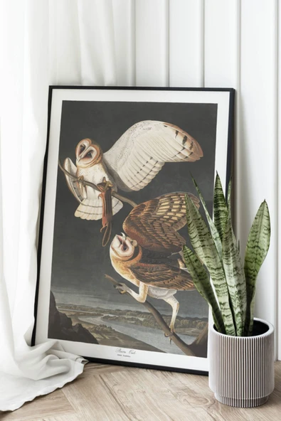 Pegziz Kuş Türleri Sanatsal Duvar Dekorasyon Poster 60x90cm. ürün görseli 1