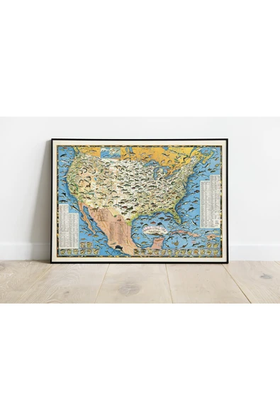 Pegziz Amerika Balık Türleri Haritası Sanatsal Duvar Dekorasyon Poster 60x90cm. ürün görseli 1