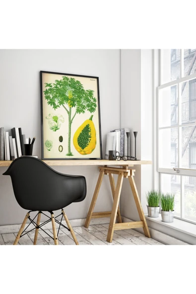 Pegziz Papaya Bitkisi Vintage Sanatsal Poster 50x70cm. ürün görseli 1