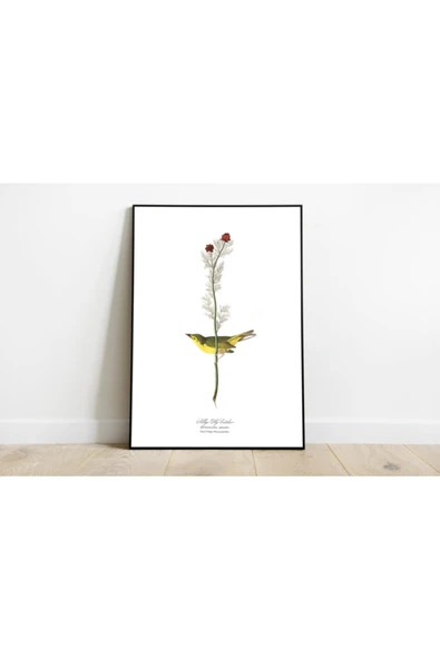 Pegziz Kuş Türleri Sanatsal Duvar Dekorasyon Poster 60x90cm. ürün görseli 1