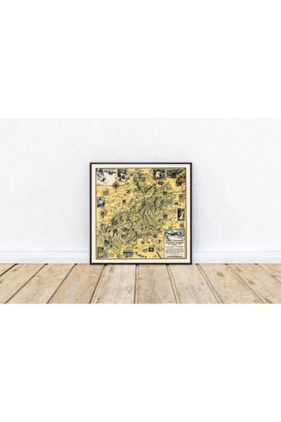 Pegziz Amerika White Mountain Ulusal Parkı Haritası Sanatsal Duvar Dekorasyon Poster 60x60cm. ürün görseli 1