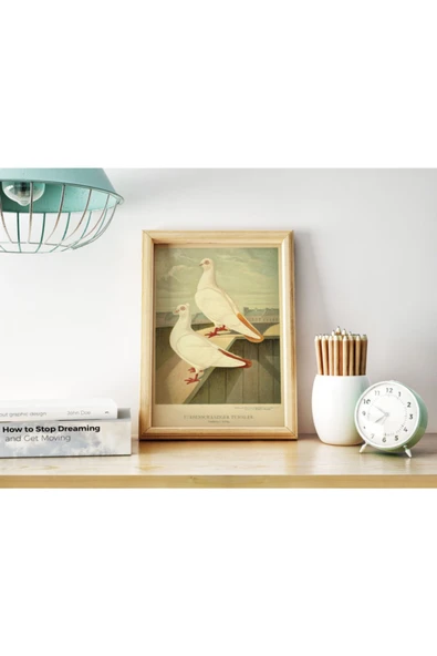 Pegziz Kuş Türleri Güvercin Sanatsal Duvar Dekorasyon Poster 50x70cm. ürün görseli 1