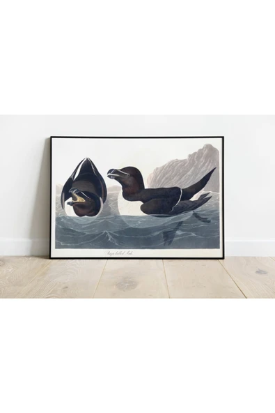 Pegziz Kuş Türleri Sanatsal Duvar Dekorasyon Poster 60x90cm. ürün görseli 1