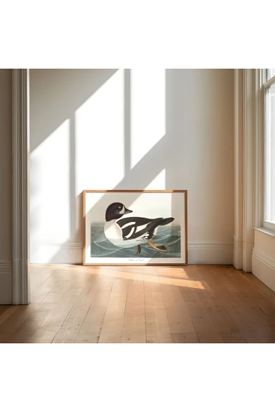 Pegziz Ördek Sanatsal Duvar Dekorasyon Poster 60x90cm. ürün görseli 1