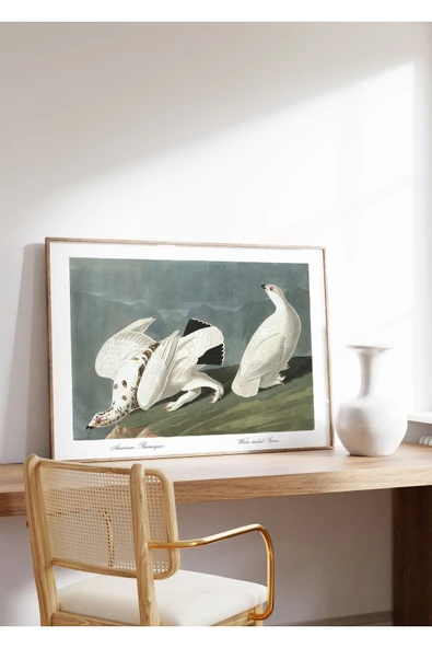 Pegziz Kartavuğu Kuşu Sanatsal Duvar Dekorasyon Poster 60x90cm. ürün görseli 1