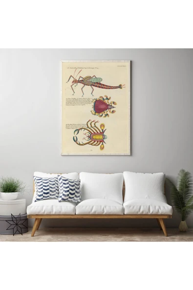 Pegziz Deniz Canlıları Sanatsal Duvar Dekorasyon Poster 60x90cm. ürün görseli 1