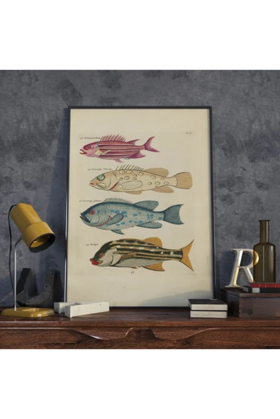 Pegziz Balıklar Sanatsal Duvar Dekorasyon Poster 60x90cm. ürün görseli 1