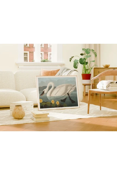 Pegziz Kuğu Duvar Dekorasyon Sanatsal Poster 60x90cm. ürün görseli 1