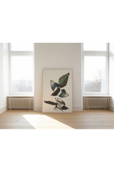 Pegziz Kuş Türleri Sanatsal Duvar Dekorasyon Poster 60x90cm. ürün görseli 1