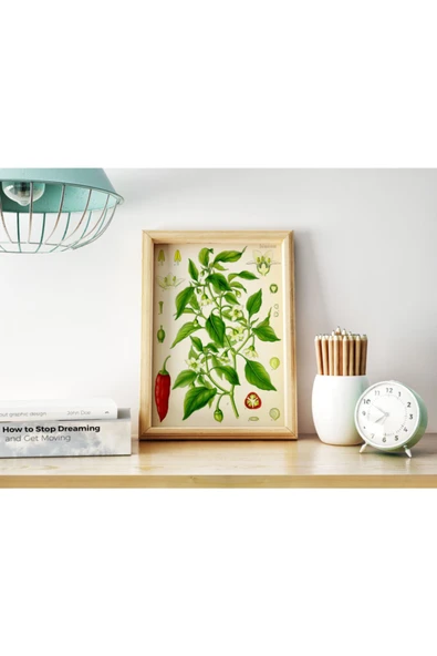 Pegziz Paprika Biber Vintage Sanatsal Poster 50x70cm. ürün görseli 1