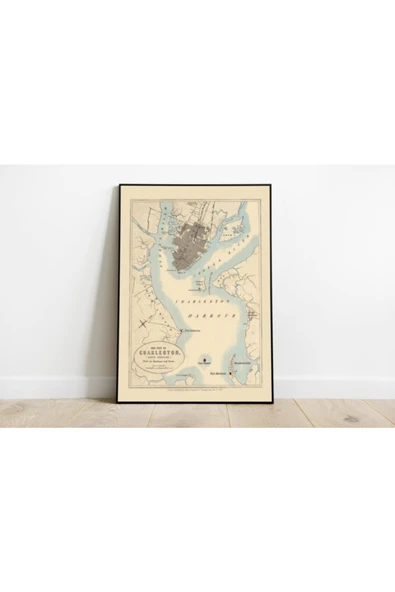 Pegziz Amerika Charleston 1857 Şehir Planı Haritası Sanatsal Duvar Dekorasyon Poster 60x90cm. ürün görseli 1