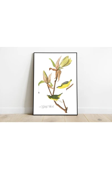 Pegziz Kuş Türleri Sanatsal Duvar Dekorasyon Poster 60x90cm. ürün görseli 1