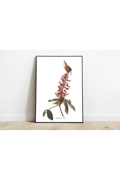 Pegziz Kuş Türleri Sanatsal Duvar Dekorasyon Poster 60x90cm. ürün görseli 1