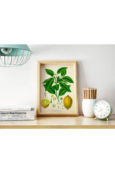 Pegziz Limon Bitkisi Vintage Sanatsal Poster 50x70cm. ürün görseli 1