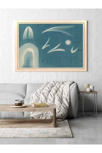 Pegziz Astronomi Ve Uzay Bilimleri Sanatsal Duvar Dekorasyon Poster 60x90cm. ürün görseli 1